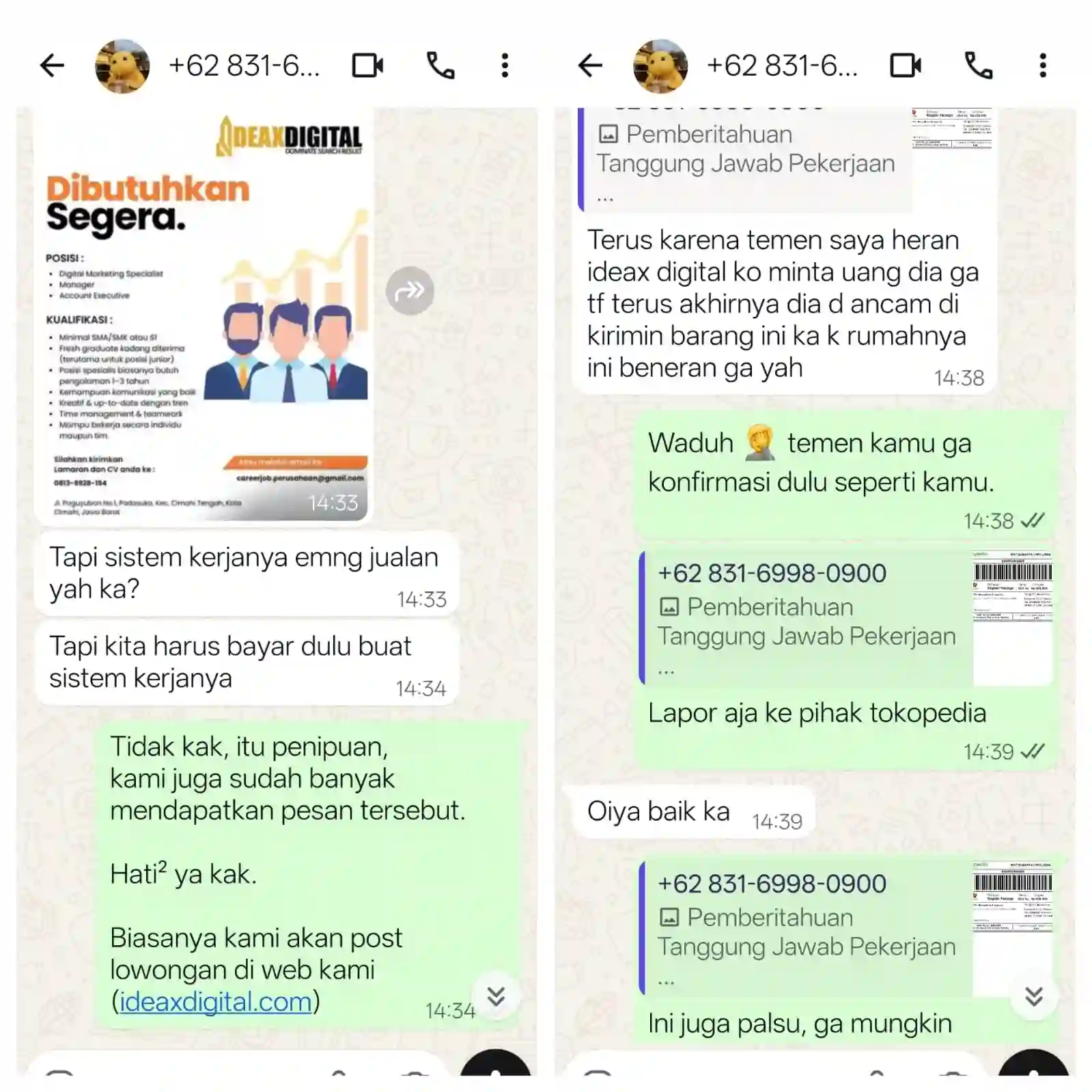 Contoh konfirmasi benar kasus penipuan lowongan kerja ideax digital